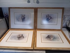 4 Big Cats Portfolio By Tony