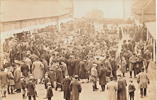 Shaftesbury cattle market - shaftesbury, market.