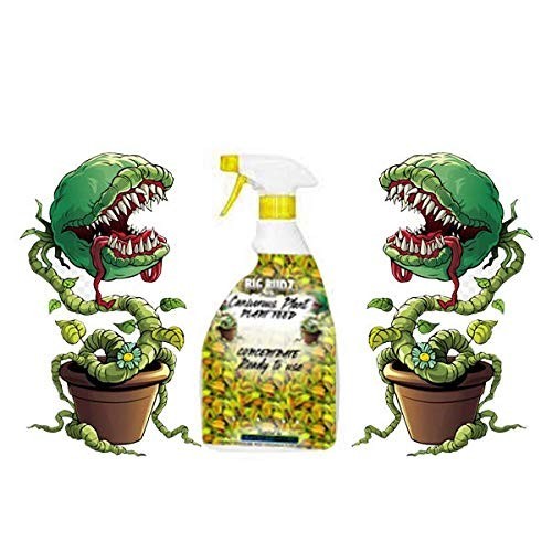 Venus flytrap food ready - venus,