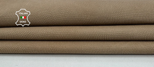Beige reptile print - beige, on