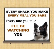 Funny Border Collie Dog metal wall sign every snack  kitchen dog lovers plaque