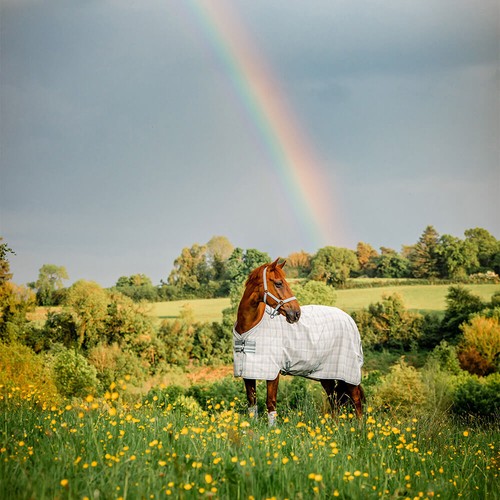 Horseware newmarket fly - fly, sheet