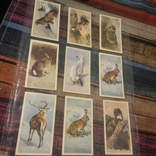 Vintage 1970s GRANDEE