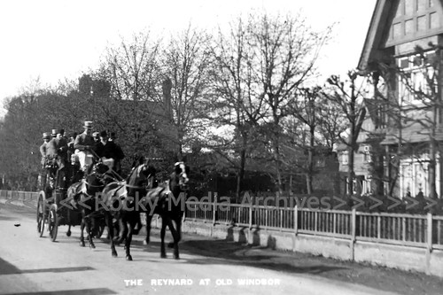 Bcp the reynard old - bcp-32, reynard,