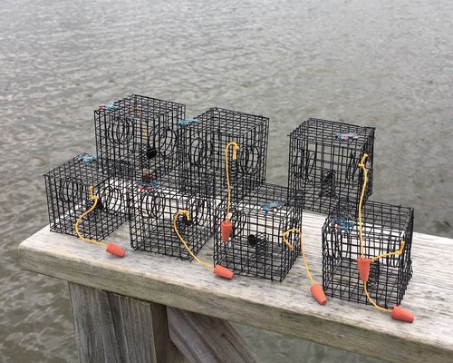 Miniature crab trap - crab, trap,