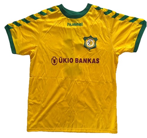 2008 lithuania football - lithuania,
