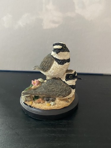 Country bird collection - collection, little