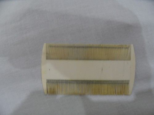 Antique bone grooming combs - grooming,