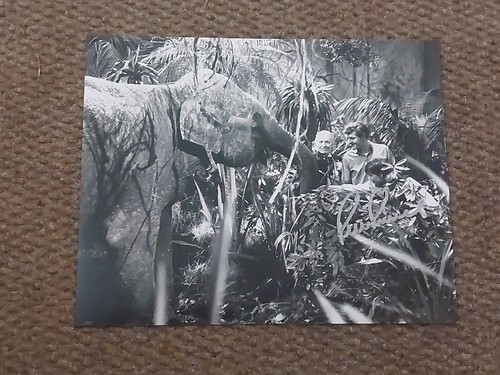 Genuine hand signed - genuine,