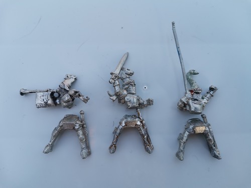 Rare bretonnian knights - rare,