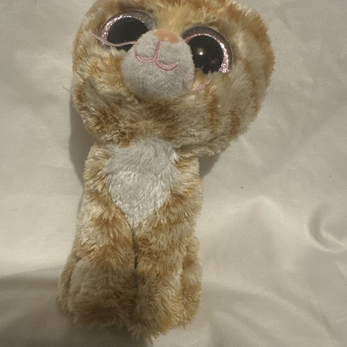 Tabitha ginger cat - ty,