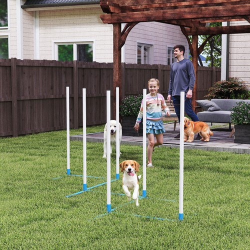 Dog weave pole - pole, agility