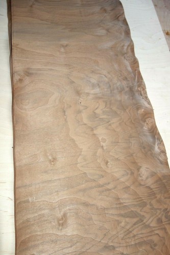 Burr walnut veneer - ,