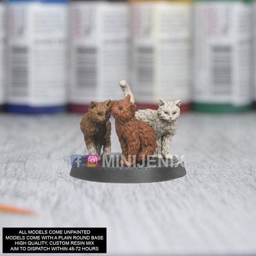 Cat animal companions - cat, fantasy