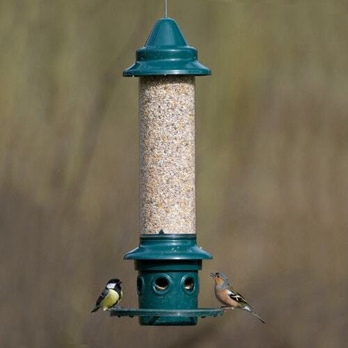 Brome squirrel buster - squirrel, plus