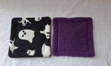 Two Guinea pig Small animal