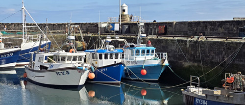 Pics pittenweem will - ,