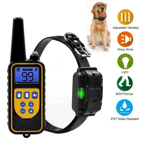 Dog shock collar bark - dog, training