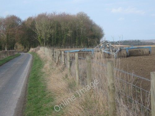 Photo 12x8 cambridge roller - photo,