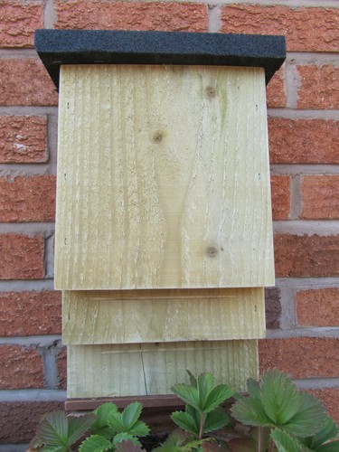 Bat box twin - twin, chambers