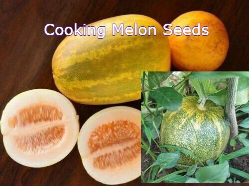 Cooking melon seeds kakiri - cooking,