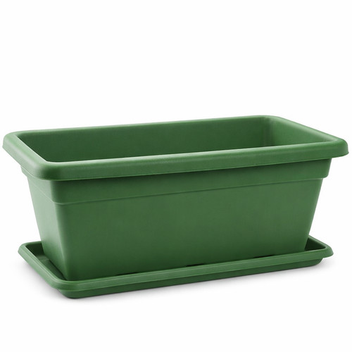 Large trough plant - trough, pot