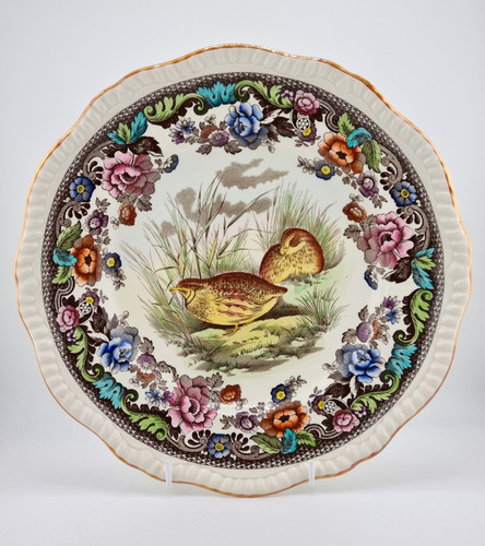 Spode woodland birds dinner - spode,
