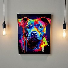 Staffordshire Bull Terriers