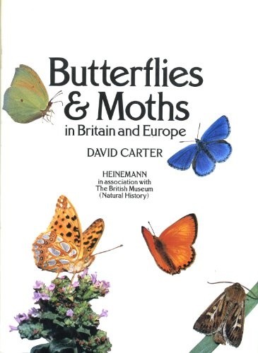 Butterflies and moths - and, in