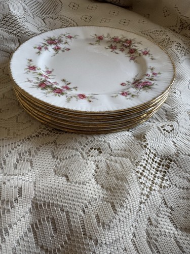 Paragon victoriana rose - paragon, 6