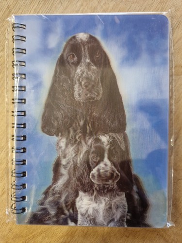 Blue roan english - english, cocker