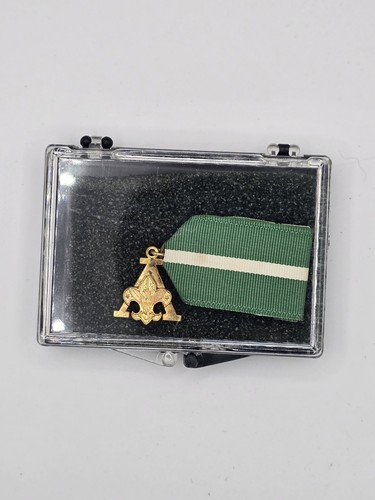 Boy scout vintage - vintage, adult