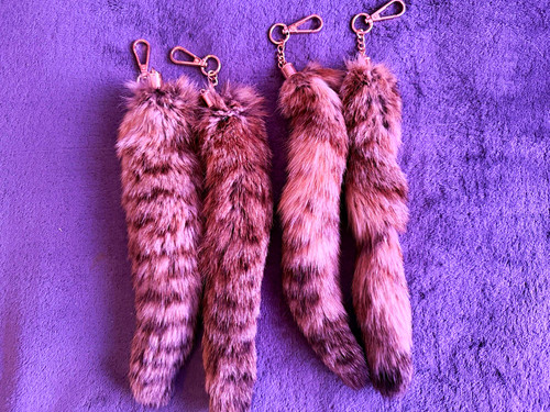Random bobcat tail - 1,