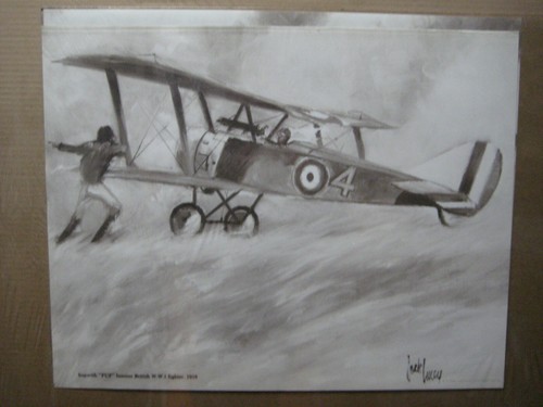 Sopwith pup british fighter - sopwith,