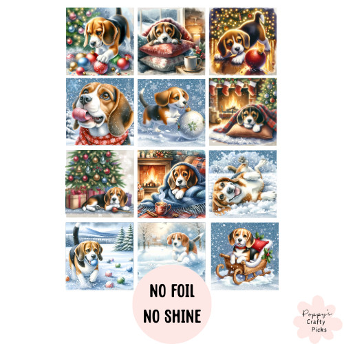 Beagle dog christmas - dog, at