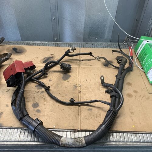 Engine wiring loom - loom, harness