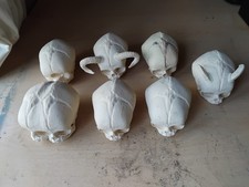 Fetal Skulls Various Resin Replica  x 7 - Curiosity Macabre Goth Prop Cryptid