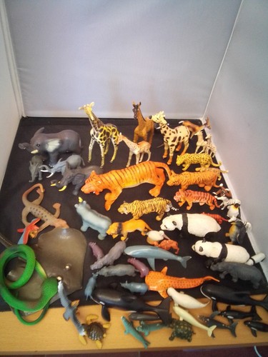 Wild zoo safari - wild, toys