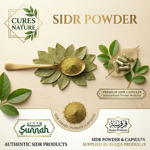 Organic sidr leaves lote - sidr, tree