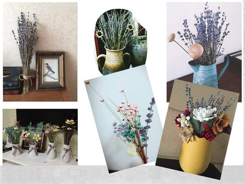 Ultra blue dried lavender - blue,