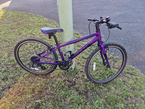 Giant arx purple - arx, purple/black