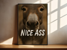 Funny Donkey Wall Art Print