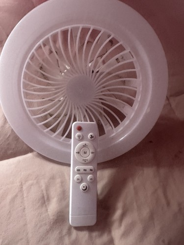 Ceiling fan light socket - ceiling,
