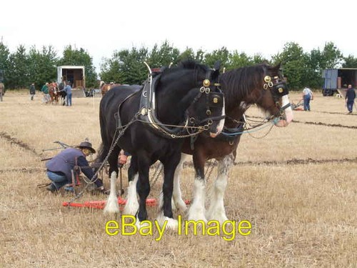 Photo 6x4 flintham ploughing - 6x4,