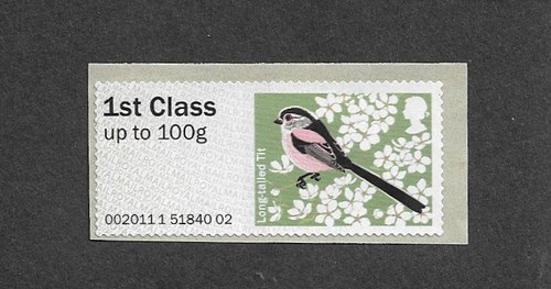 Long tailed tit birds - tit,