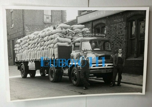 Liverpool 1950 criddle co - 1950's, &