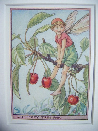 Vintage flower fairies print - vintage,