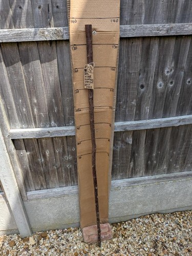 Blackthorn walking stick shank - blackthorn,