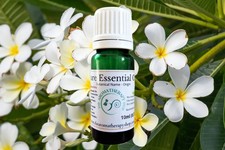 Frangipani Essential Oil