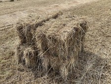Hay Bales